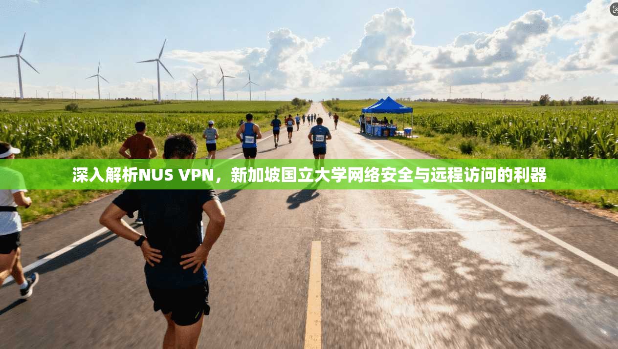 深入解析NUS VPN，新加坡国立大学网络安全与远程访问的利器
