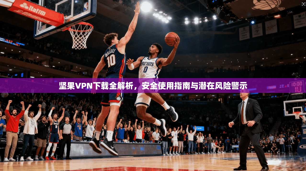 坚果VPN下载全解析,安全使用指南与潜在风险警示