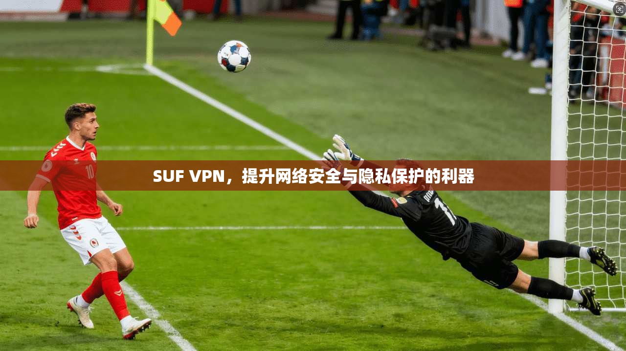 SUF VPN，提升网络安全与隐私保护的利器