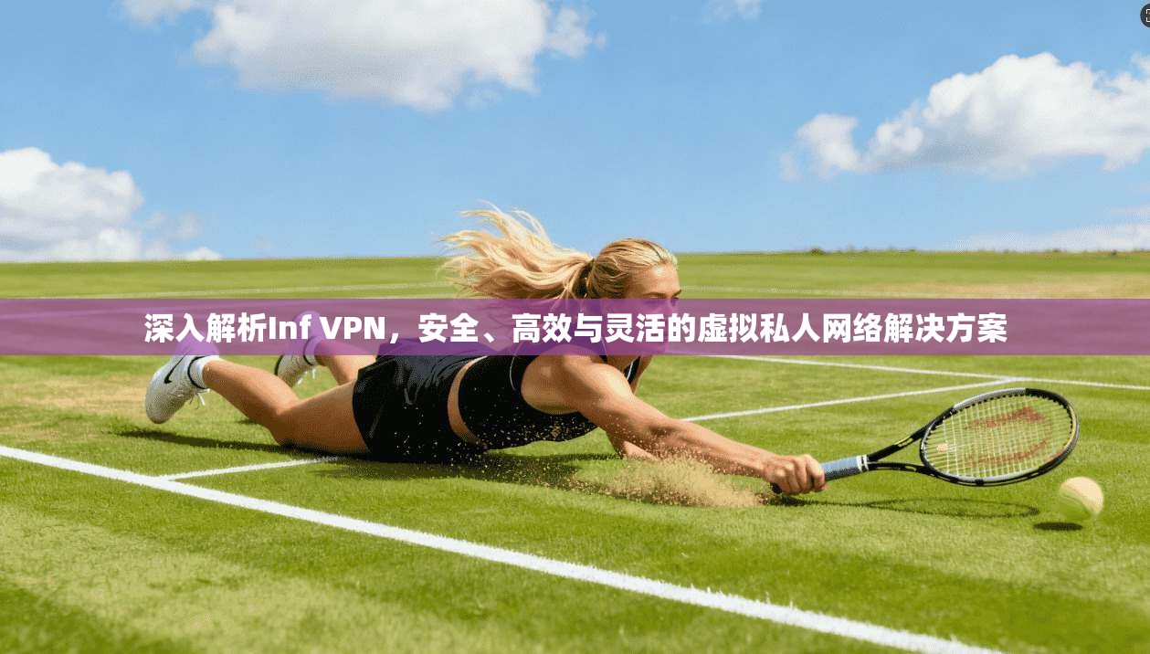 深入解析Inf VPN,安全、高效与灵活的虚拟私人网络解决方案