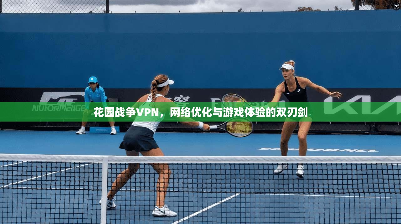 花园战争VPN，网络优化与游戏体验的双刃剑