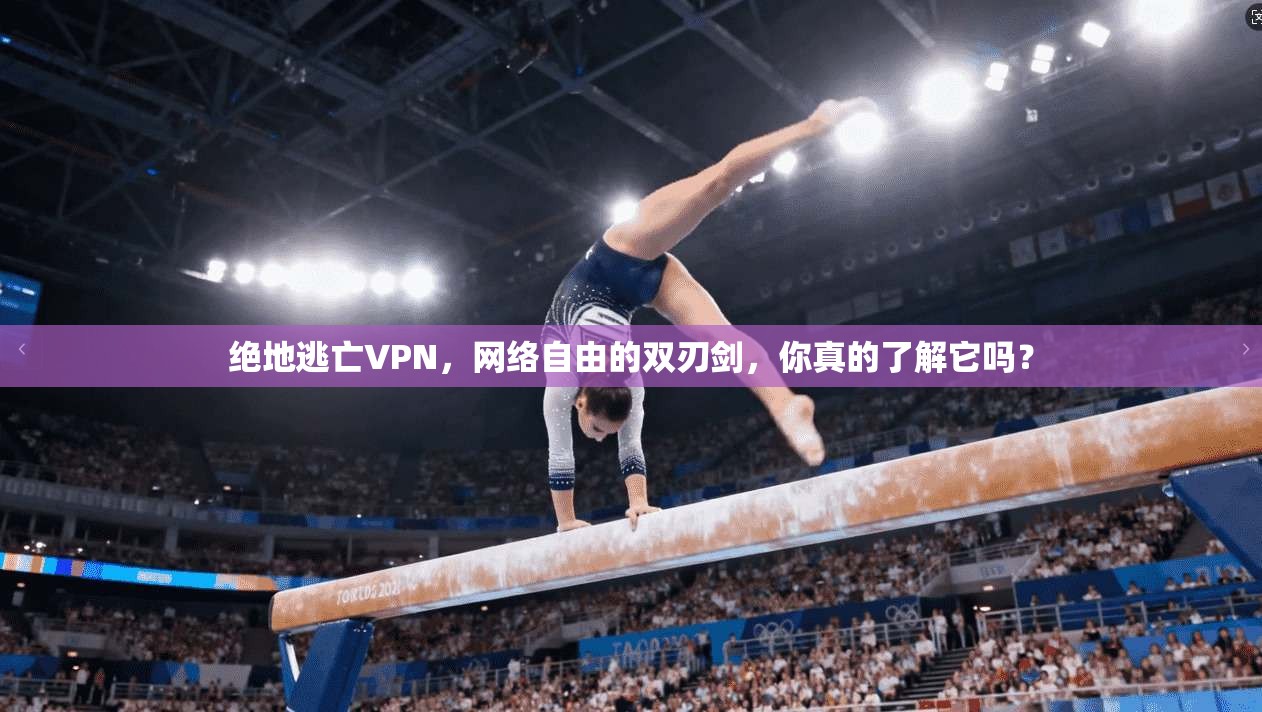 绝地逃亡VPN,网络自由的双刃剑,你真的了解它吗?
