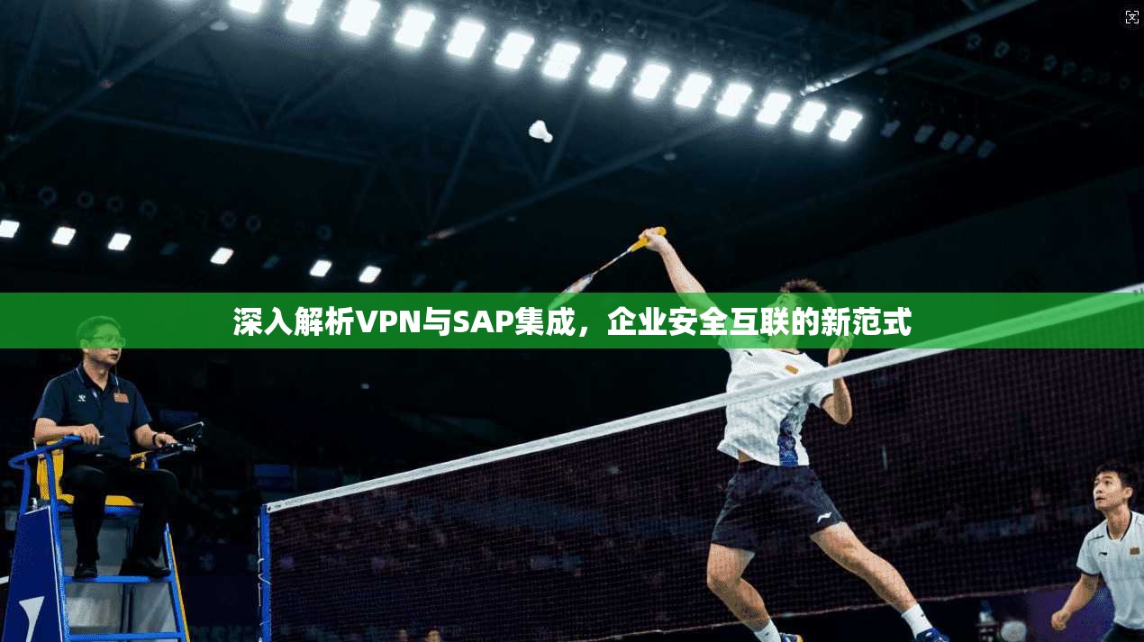 深入解析VPN与SAP集成，企业安全互联的新范式