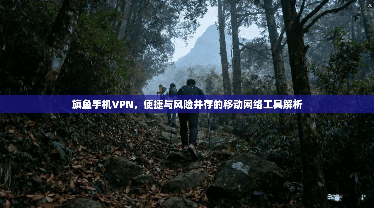 旗鱼手机VPN，便捷与风险并存的移动网络工具解析