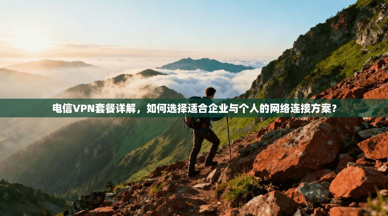 电信VPN套餐详解，如何选择适合企业与个人的网络连接方案？