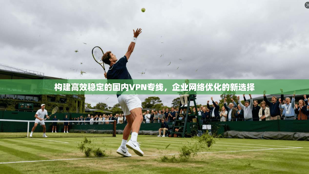 构建高效稳定的国内VPN专线，企业网络优化的新选择