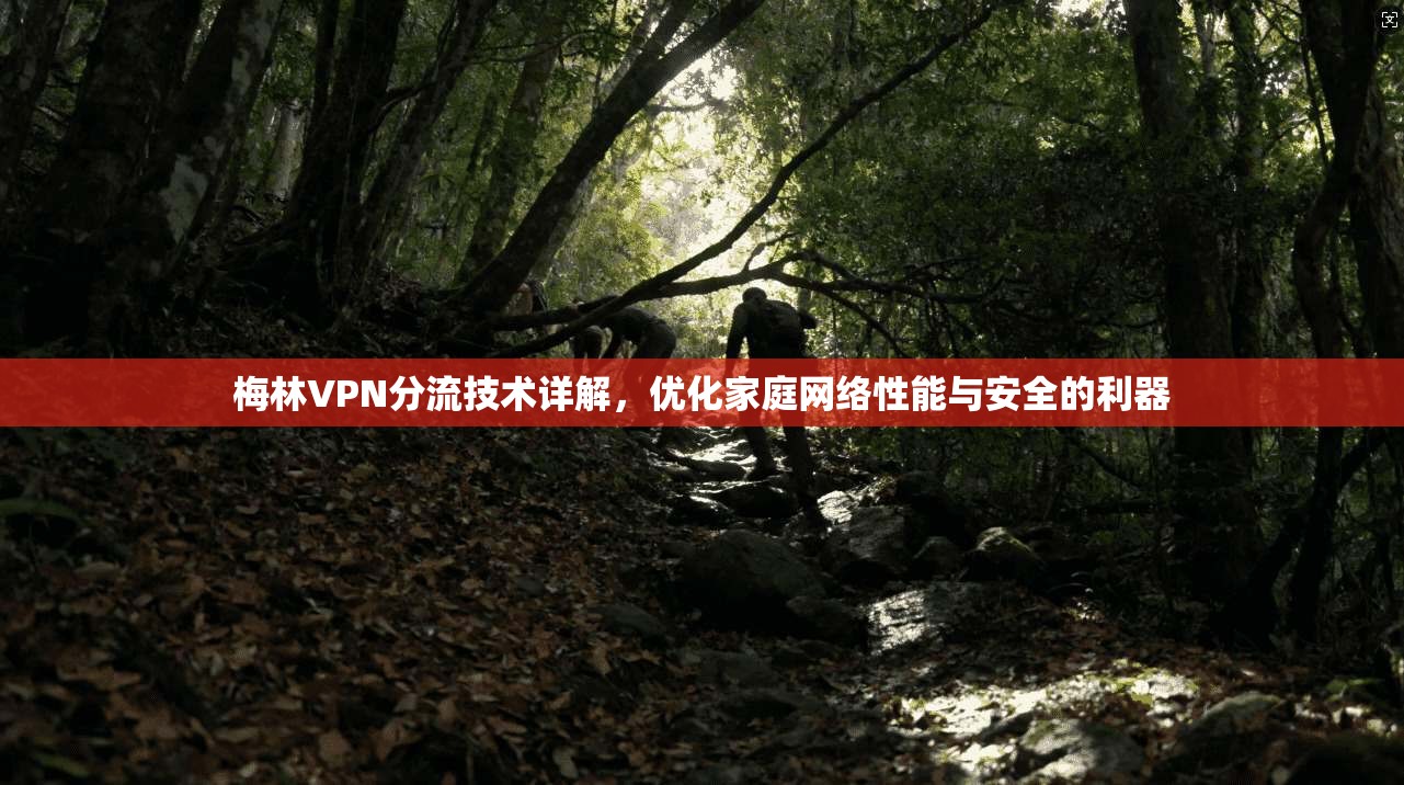 梅林VPN分流技术详解，优化家庭网络性能与安全的利器