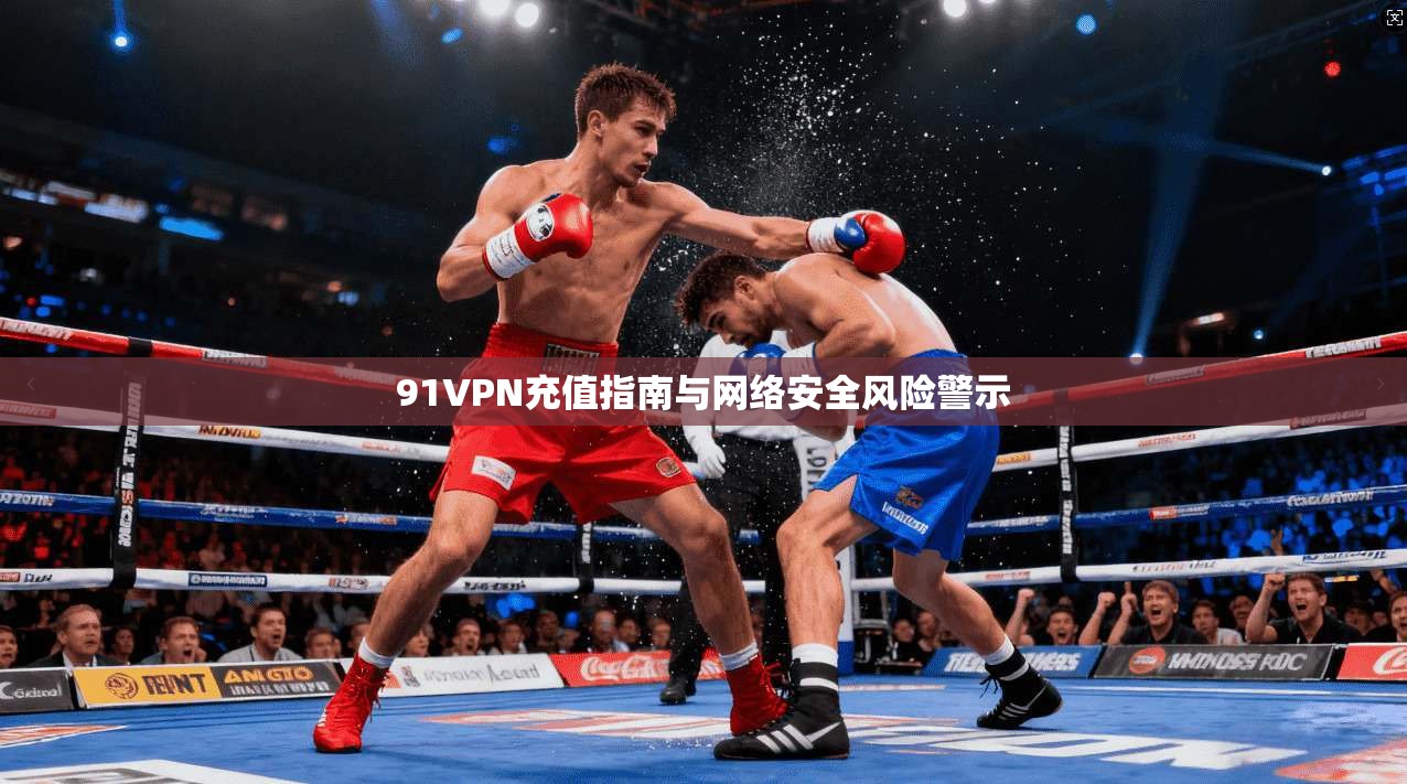 91VPN充值指南与网络安全风险警示