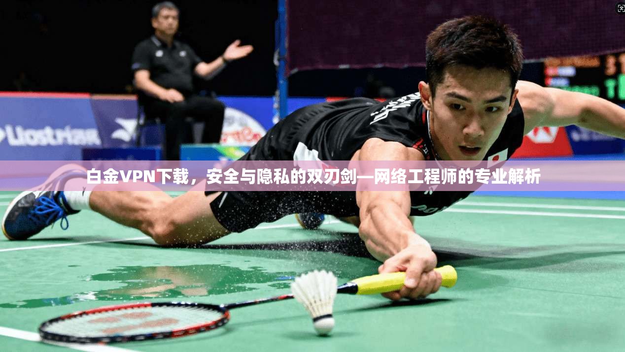 白金VPN下载，安全与隐私的双刃剑—网络工程师的专业解析