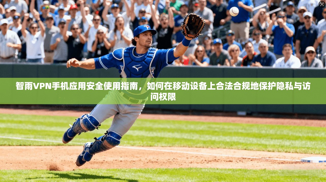 智雨VPN手机应用安全使用指南，如何在移动设备上合法合规地保护隐私与访问权限