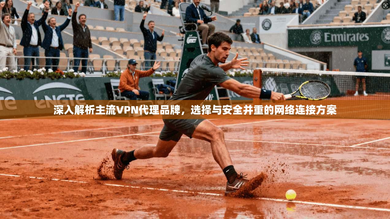 深入解析主流VPN代理品牌,选择与安全并重的网络连接方案