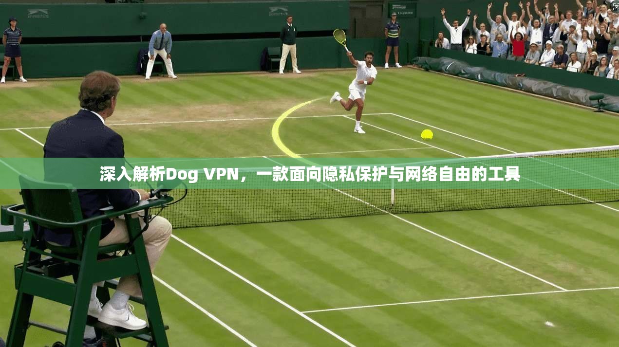 深入解析Dog VPN，一款面向隐私保护与网络自由的工具