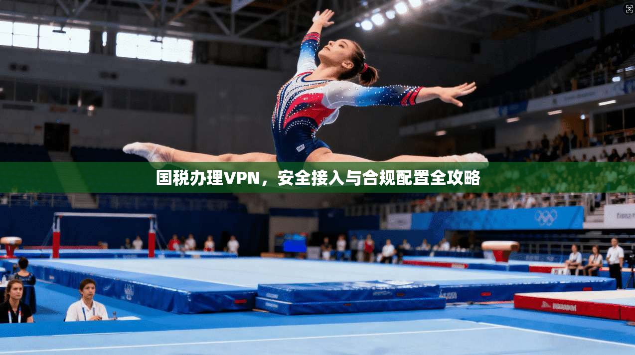 国税办理VPN，安全接入与合规配置全攻略