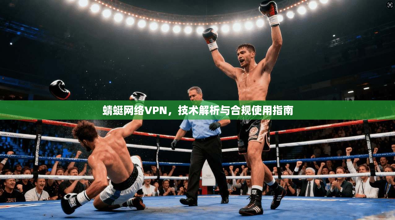 蜻蜓网络VPN,技术解析与合规使用指南 蜻蜓网络VPN,技术解析与合规使用指南