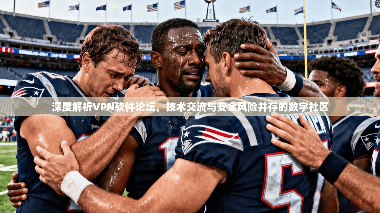 深度解析VPN软件论坛,技术交流与安全风险并存的数字社区