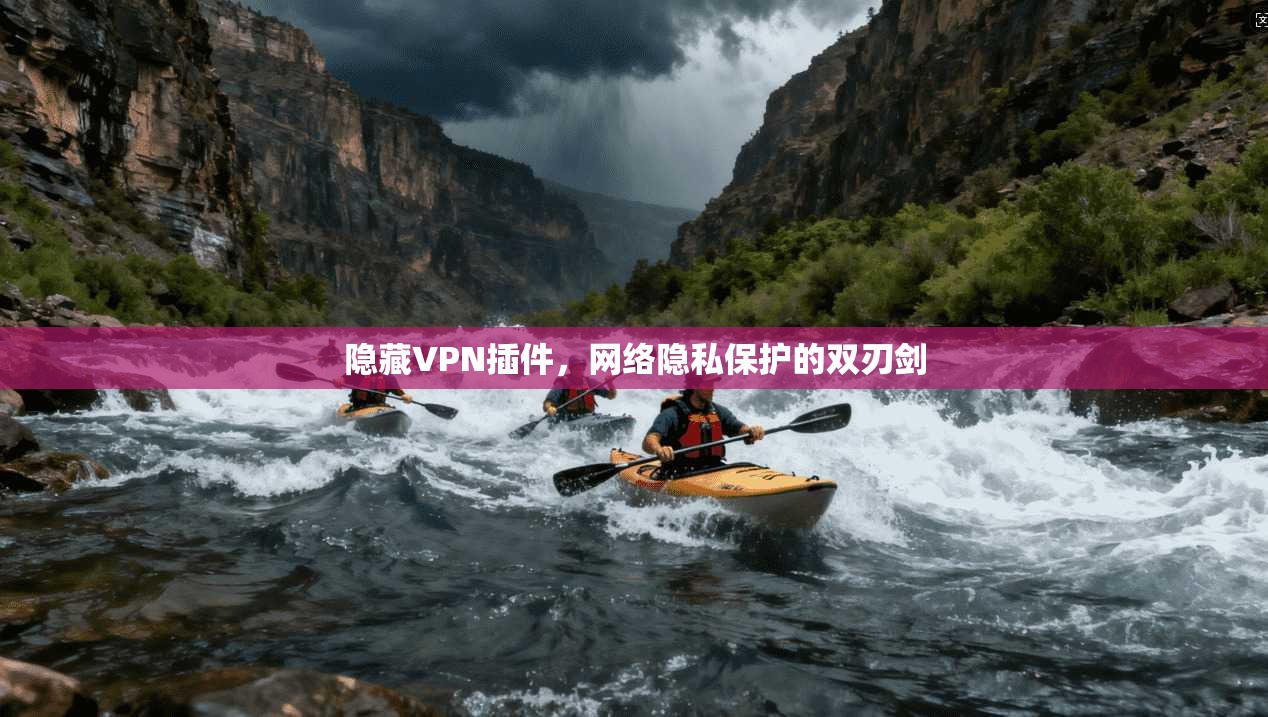 隐藏VPN插件，网络隐私保护的双刃剑
