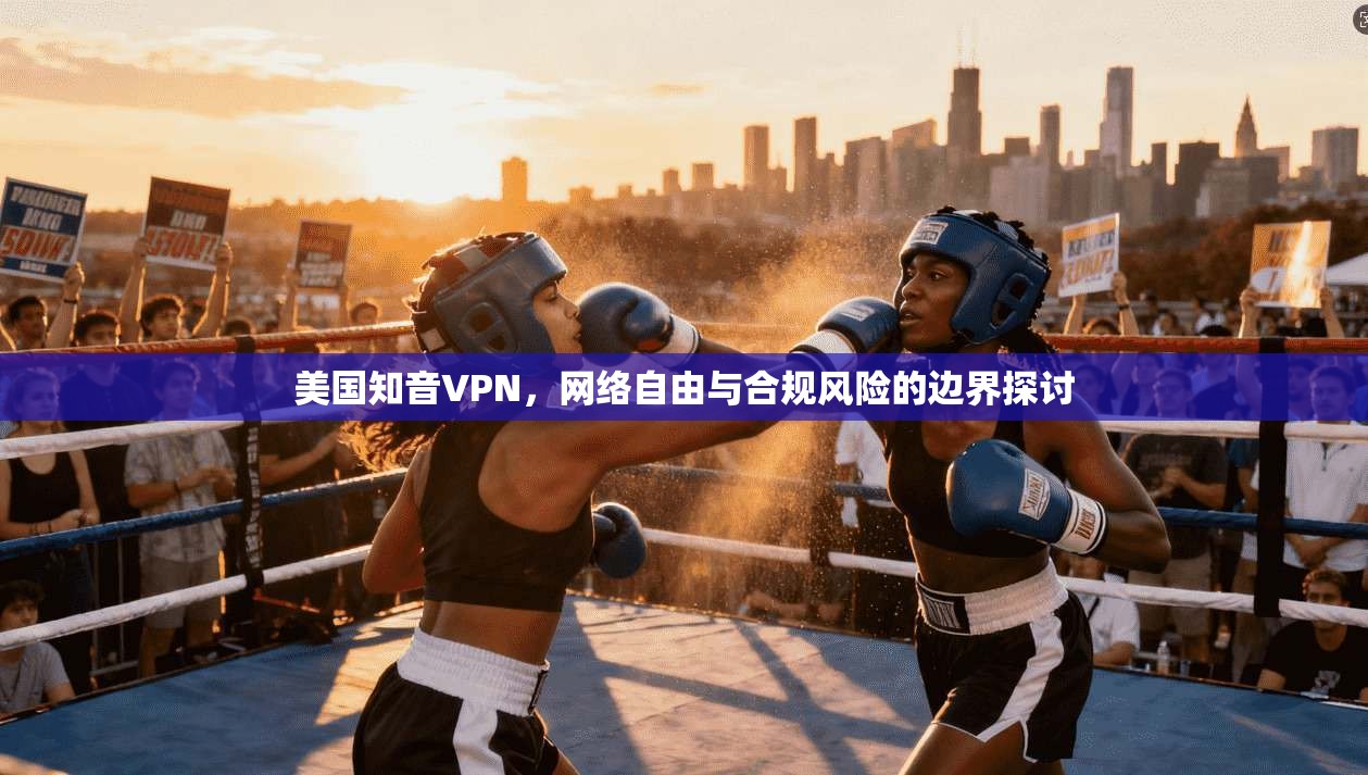 美国知音VPN，网络自由与合规风险的边界探讨