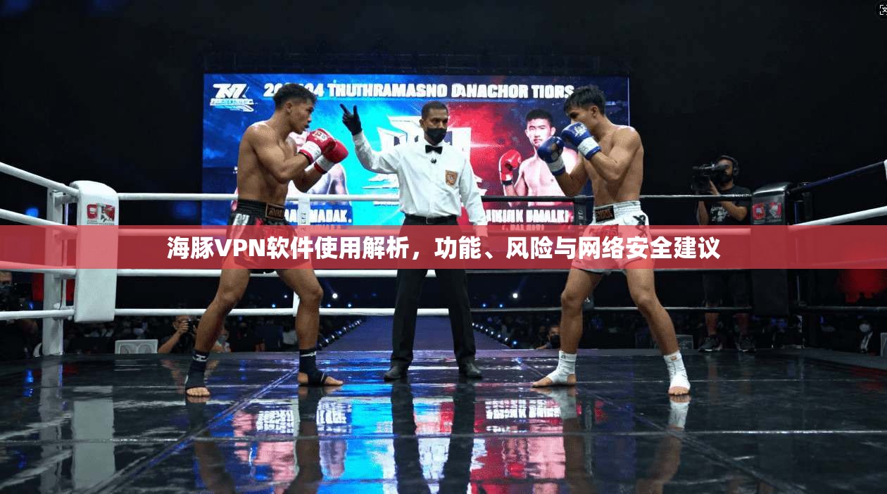 海豚VPN软件使用解析，功能、风险与网络安全建议