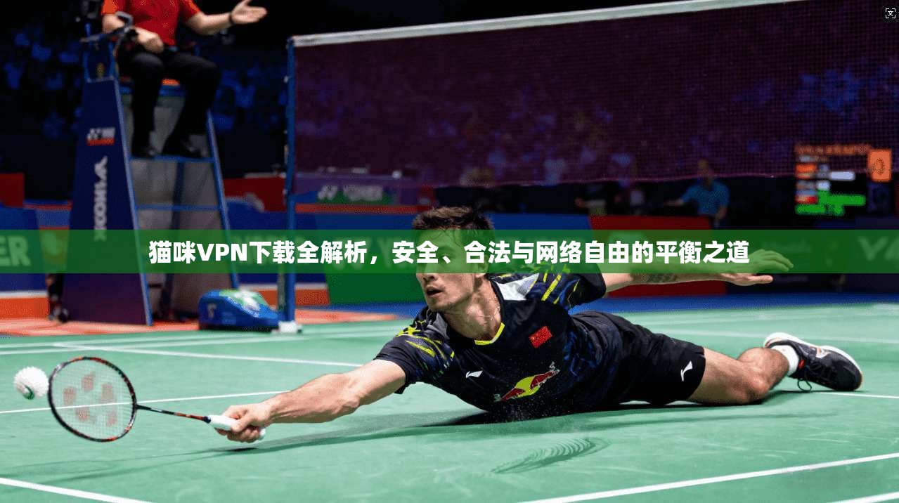 猫咪VPN下载全解析,安全、合法与网络自由的平衡之道