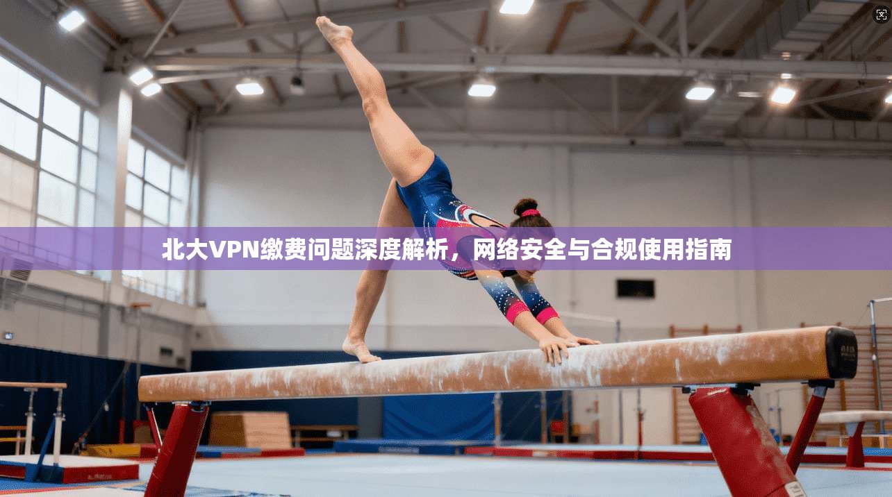 北大VPN缴费问题深度解析，网络安全与合规使用指南