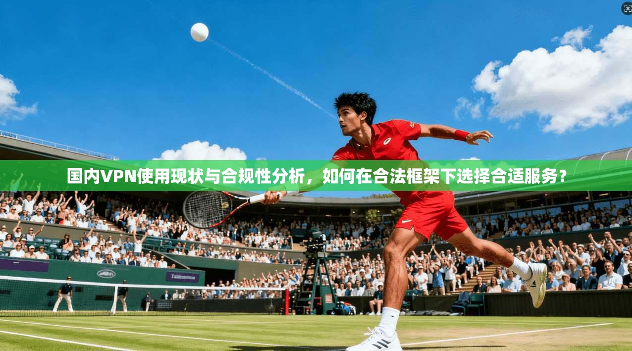国内VPN使用现状与合规性分析，如何在合法框架下选择合适服务？