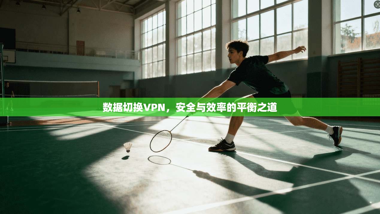 数据切换VPN，安全与效率的平衡之道