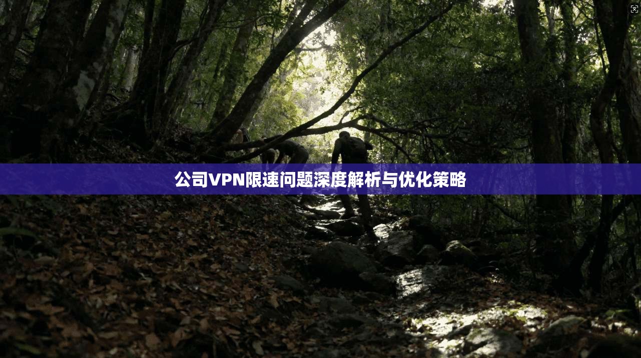 公司VPN限速问题深度解析与优化策略