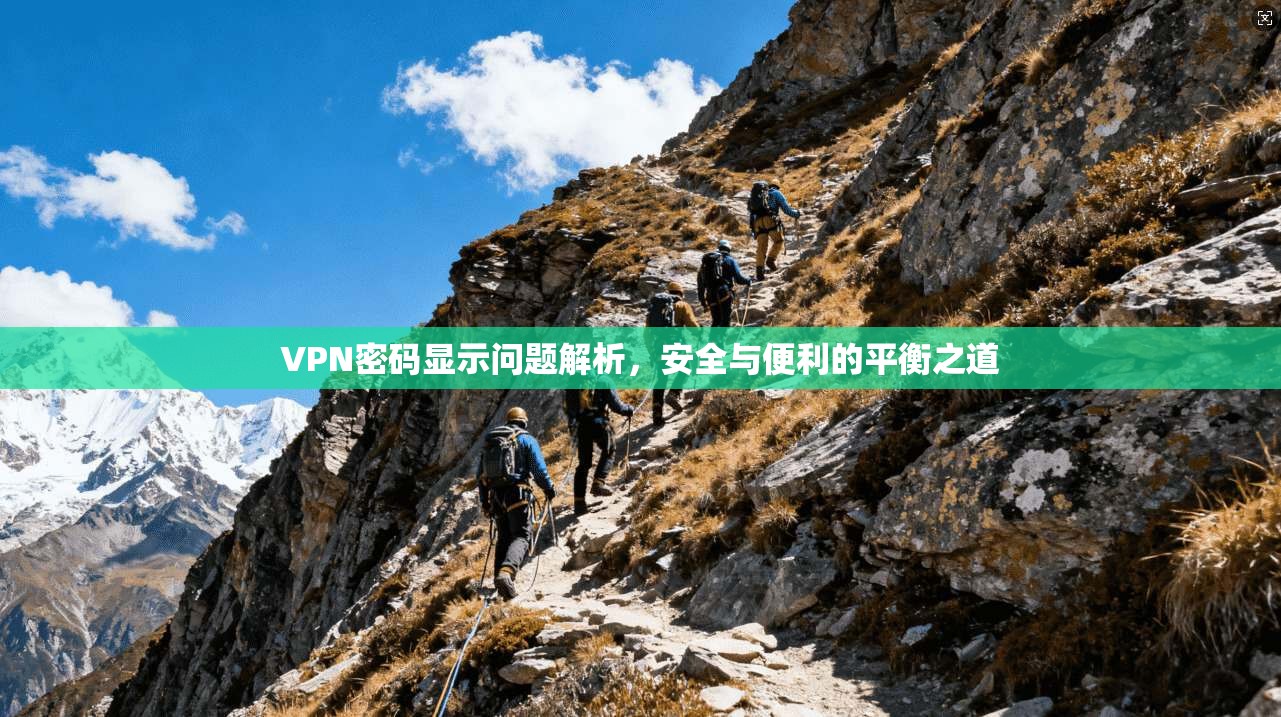 VPN密码显示问题解析，安全与便利的平衡之道