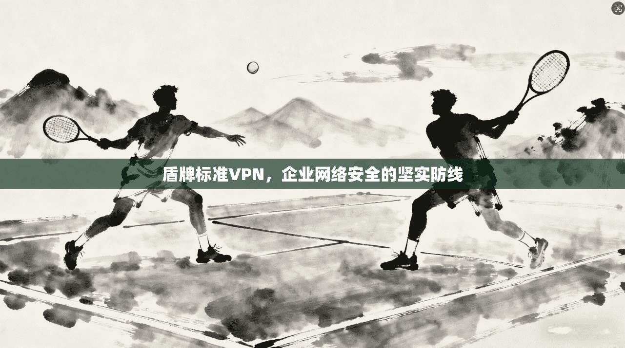 盾牌标准VPN,企业网络安全的坚实防线