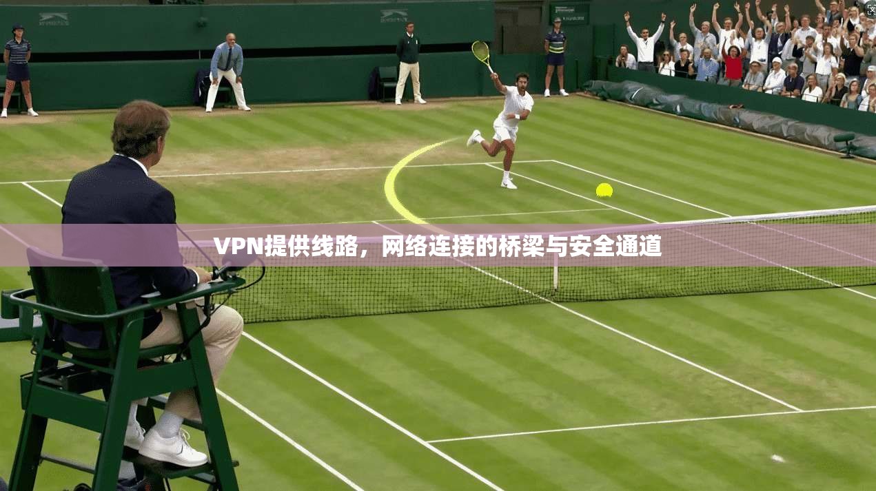 VPN提供线路,网络连接的桥梁与安全通道