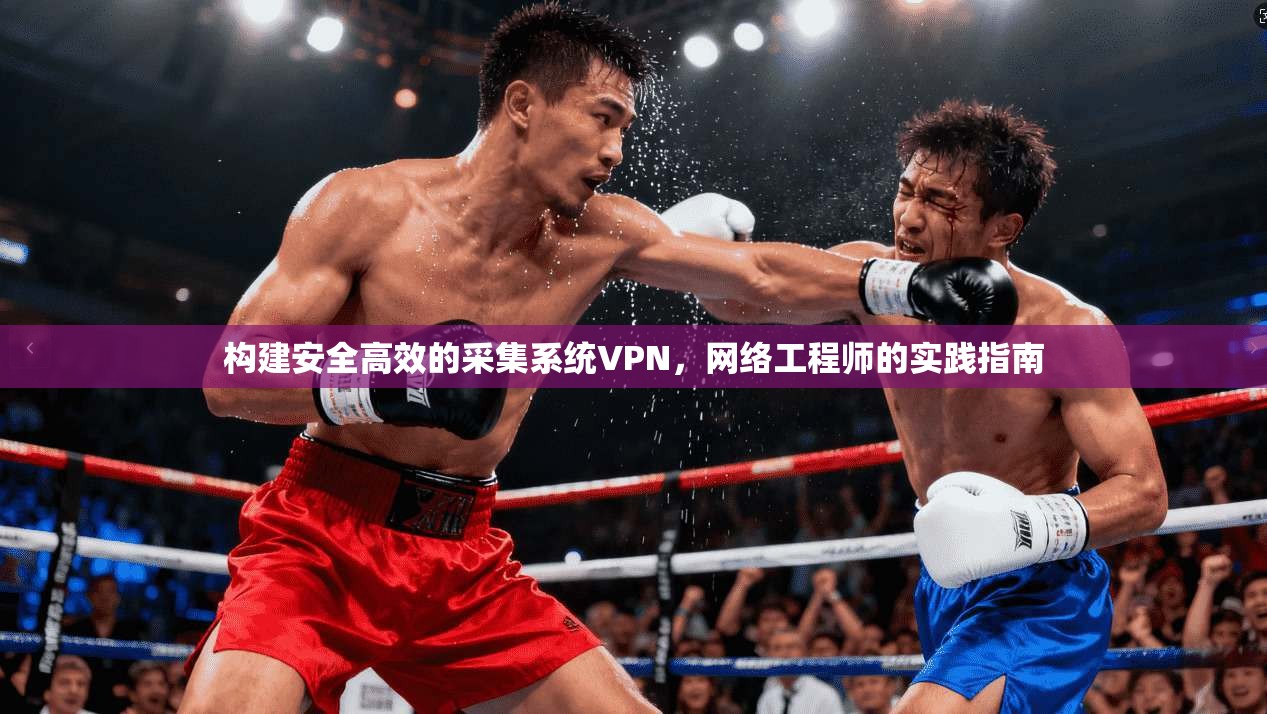 构建安全高效的采集系统VPN,网络工程师的实践指南