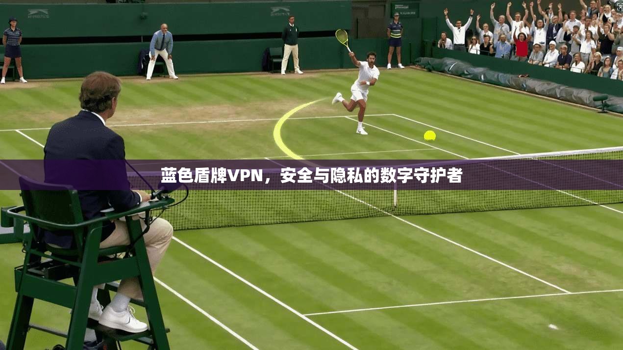 蓝色盾牌VPN，安全与隐私的数字守护者