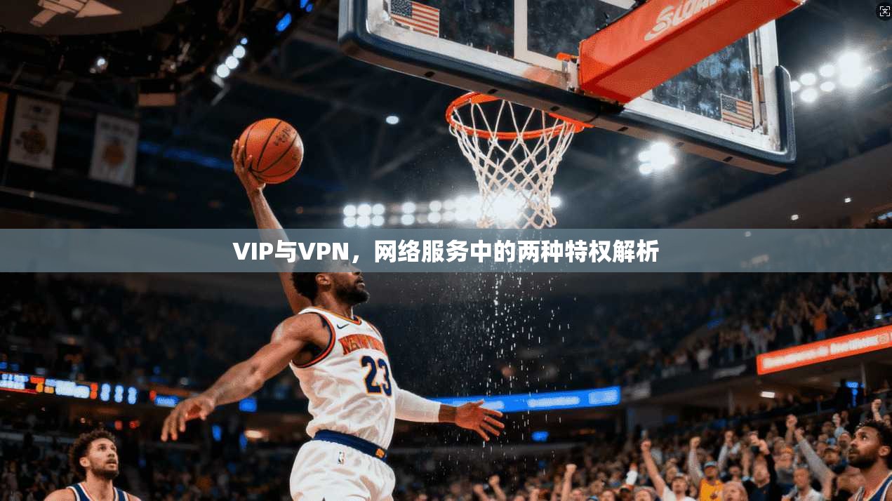 VIP与VPN，网络服务中的两种特权解析