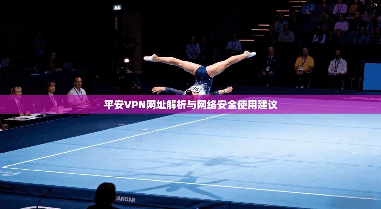 平安VPN网址解析与网络安全使用建议