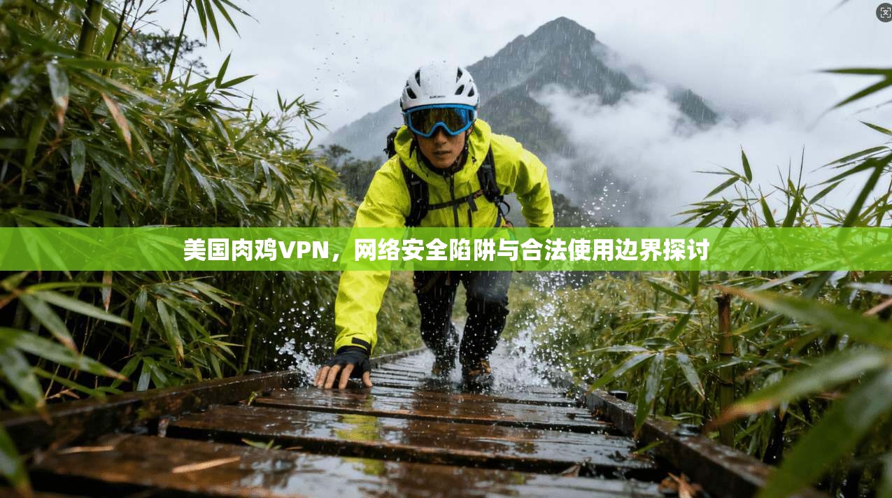 美国肉鸡VPN，网络安全陷阱与合法使用边界探讨