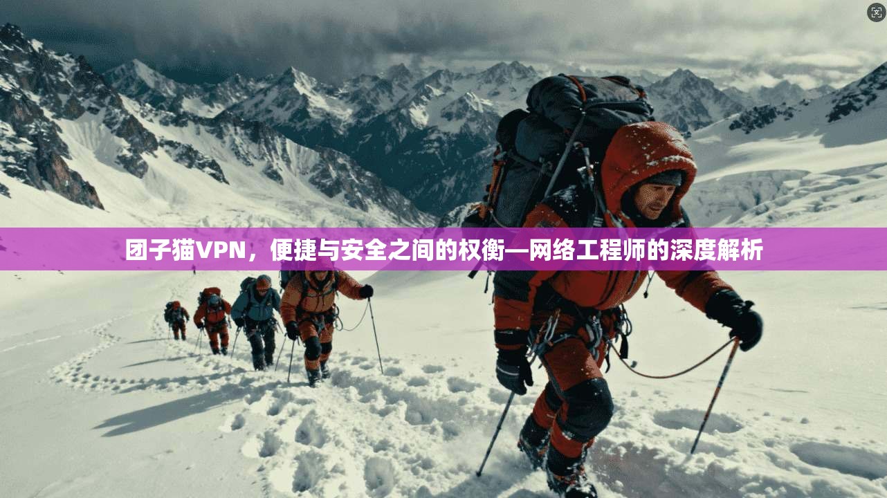 团子猫VPN，便捷与安全之间的权衡—网络工程师的深度解析