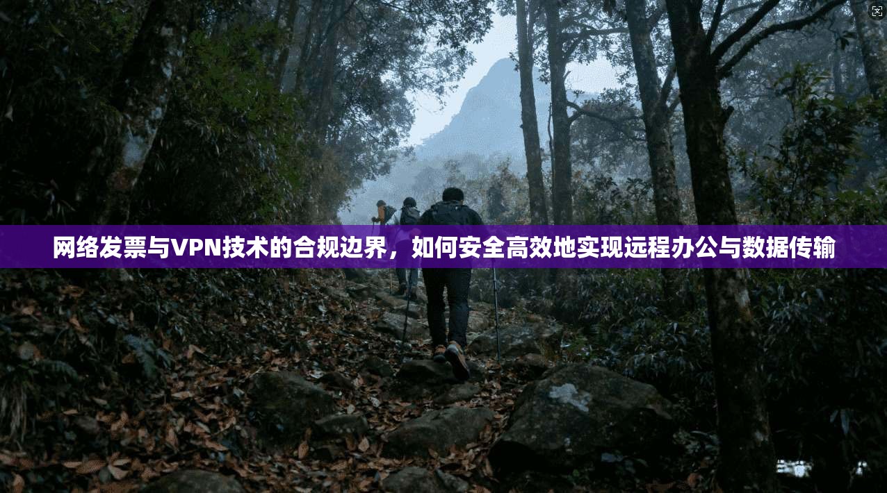 网络发票与VPN技术的合规边界，如何安全高效地实现远程办公与数据传输