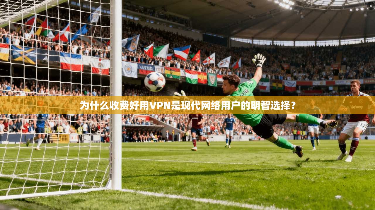 为什么收费好用VPN是现代网络用户的明智选择？