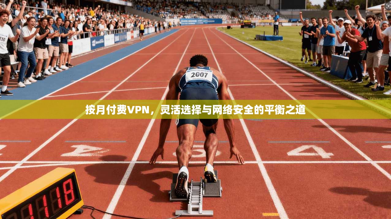 按月付费VPN，灵活选择与网络安全的平衡之道
