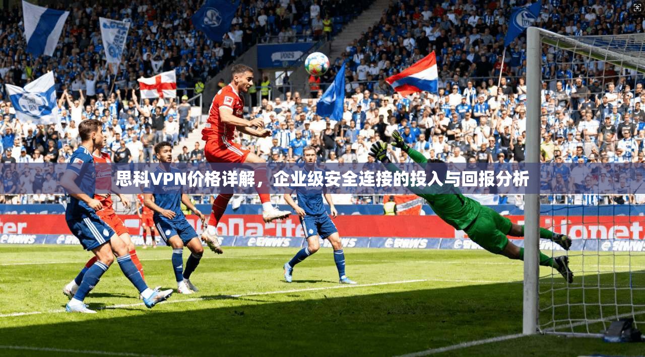 思科VPN价格详解，企业级安全连接的投入与回报分析