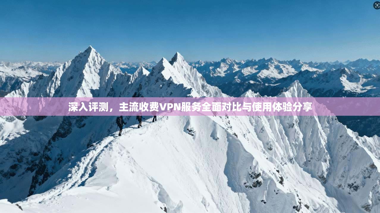 深入评测,主流收费VPN服务全面对比与使用体验分享