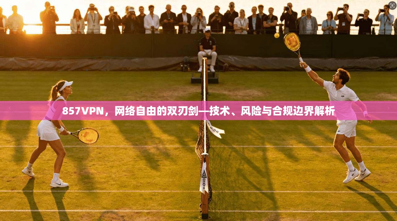 857VPN，网络自由的双刃剑—技术、风险与合规边界解析