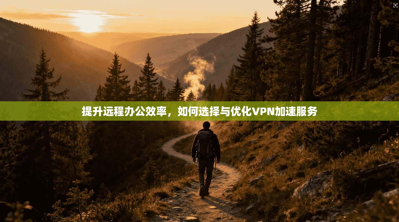 提升远程办公效率，如何选择与优化VPN加速服务