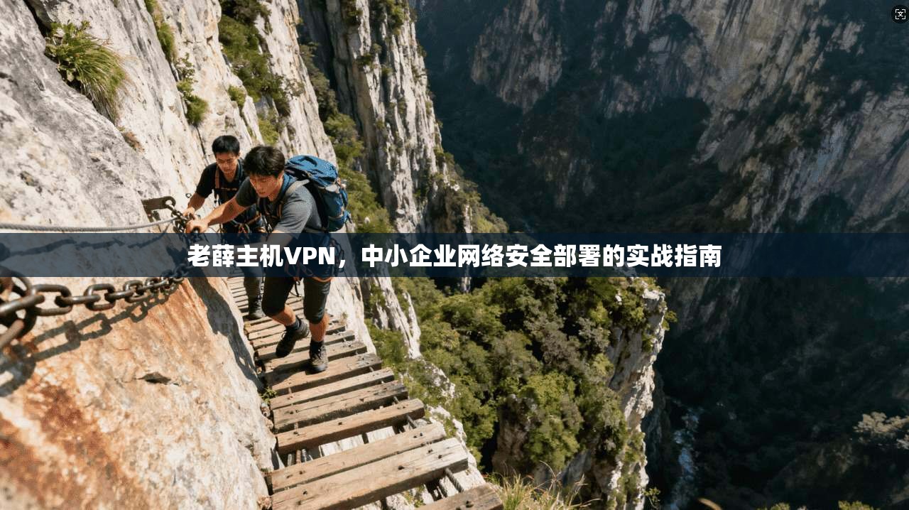 老薛主机VPN，中小企业网络安全部署的实战指南