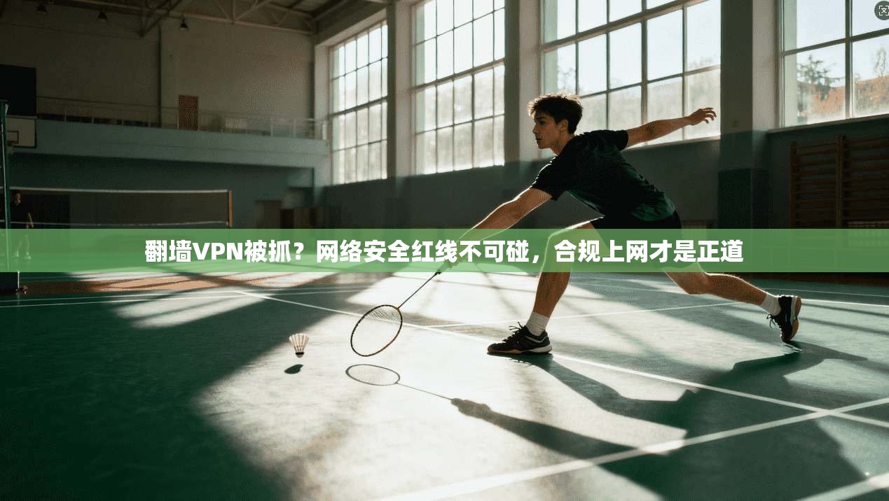 翻墙VPN被抓？网络安全红线不可碰，合规上网才是正道