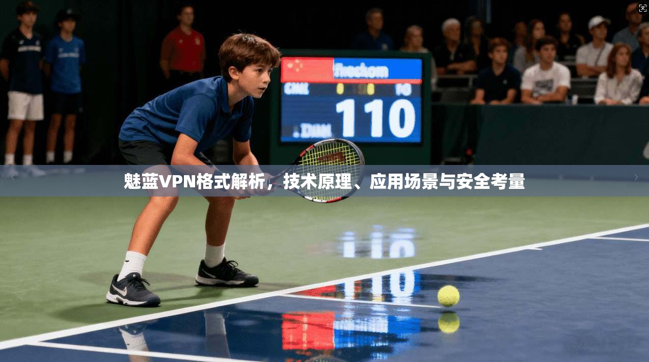 魅蓝VPN格式解析，技术原理、应用场景与安全考量