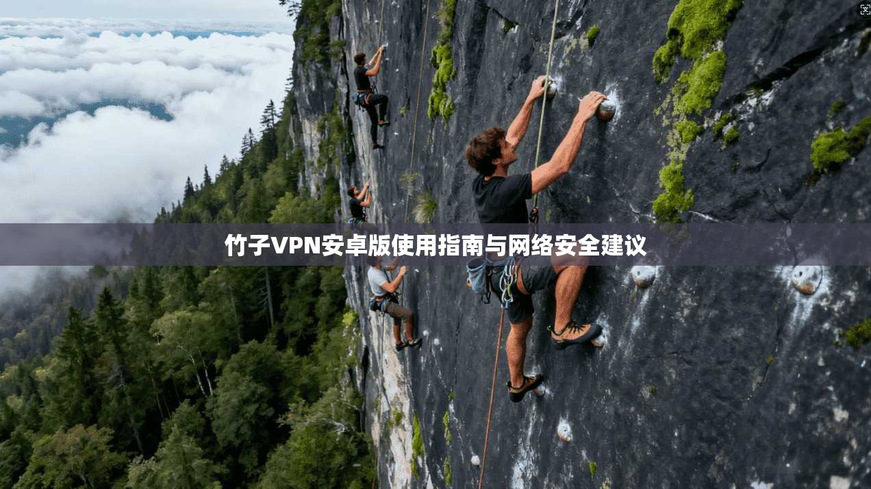 竹子VPN安卓版使用指南与网络安全建议