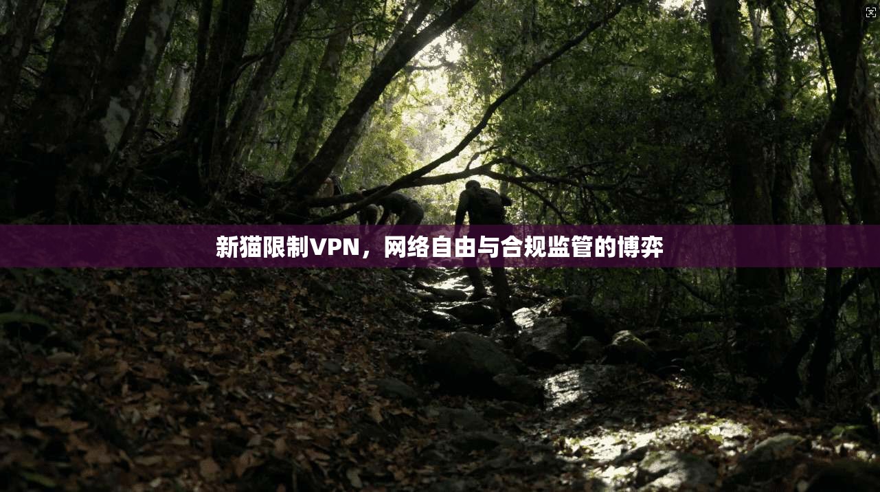 新猫限制VPN，网络自由与合规监管的博弈