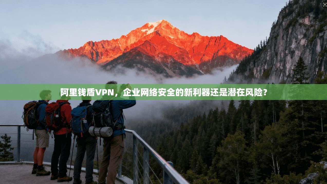 阿里钱盾VPN，企业网络安全的新利器还是潜在风险？