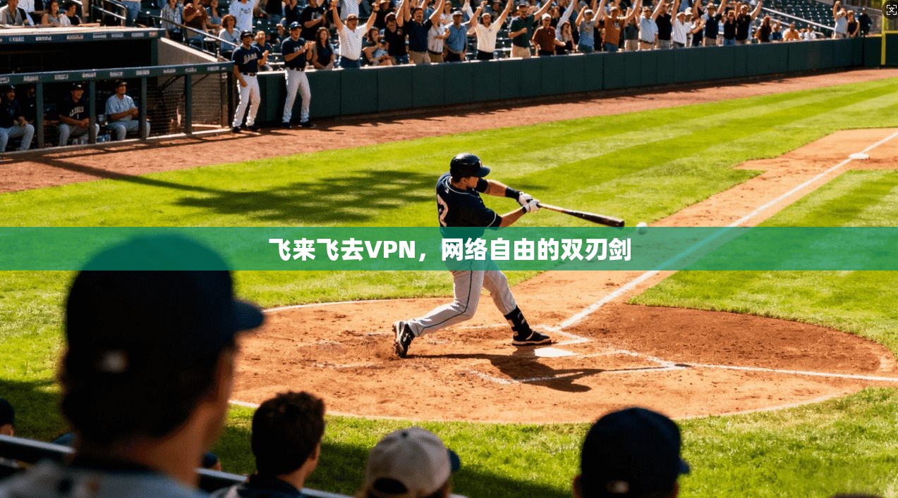 飞来飞去VPN，网络自由的双刃剑